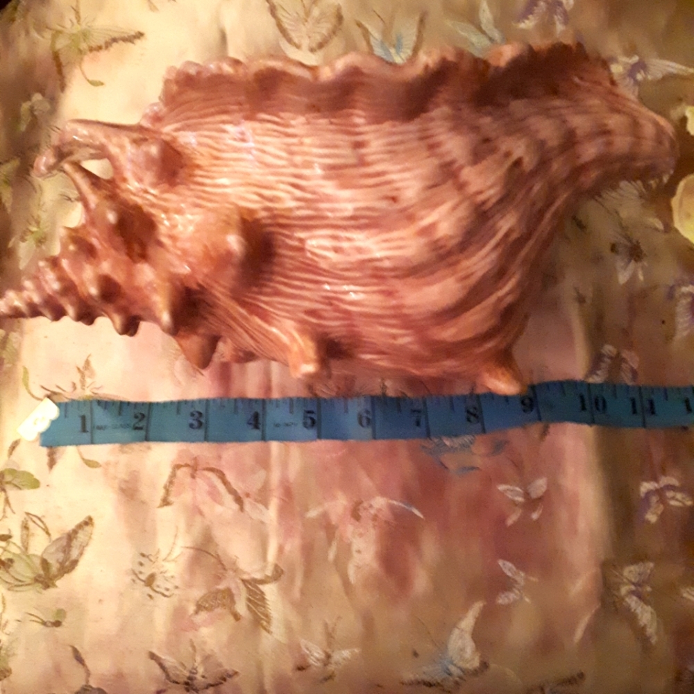 Vintage ceramic conch